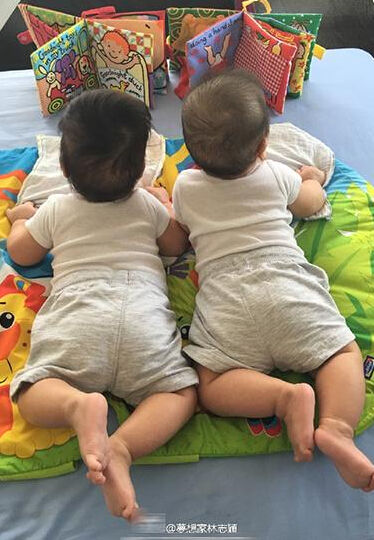 林志颖双胞胎儿子趴着看书